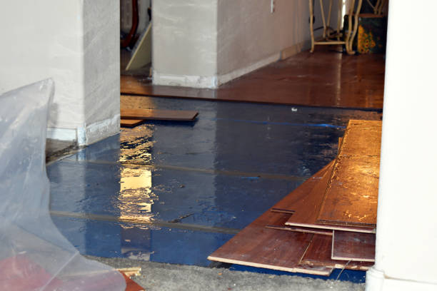 Professional Flood Cleanup technician working in Trimble, OH
